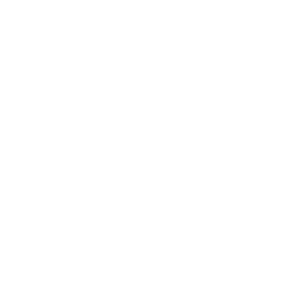 DSR24